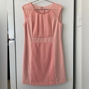 Elegant Pink Mesh Panel Dress